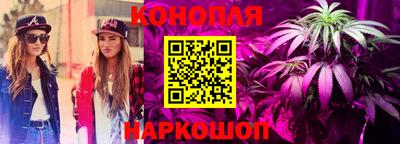 мяу мяу мука Гусиноозёрск