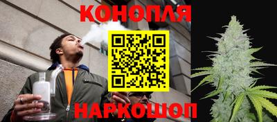 мяу мяу мука Гусиноозёрск