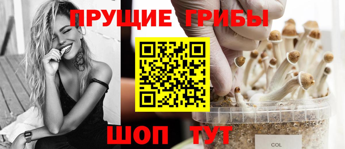 Благовещенск  Галлюциногенные грибы Psilocybe  Вход с VPN  Галлюциногенные грибы ЛСД 